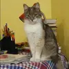 Отзыв от Клара Блинова